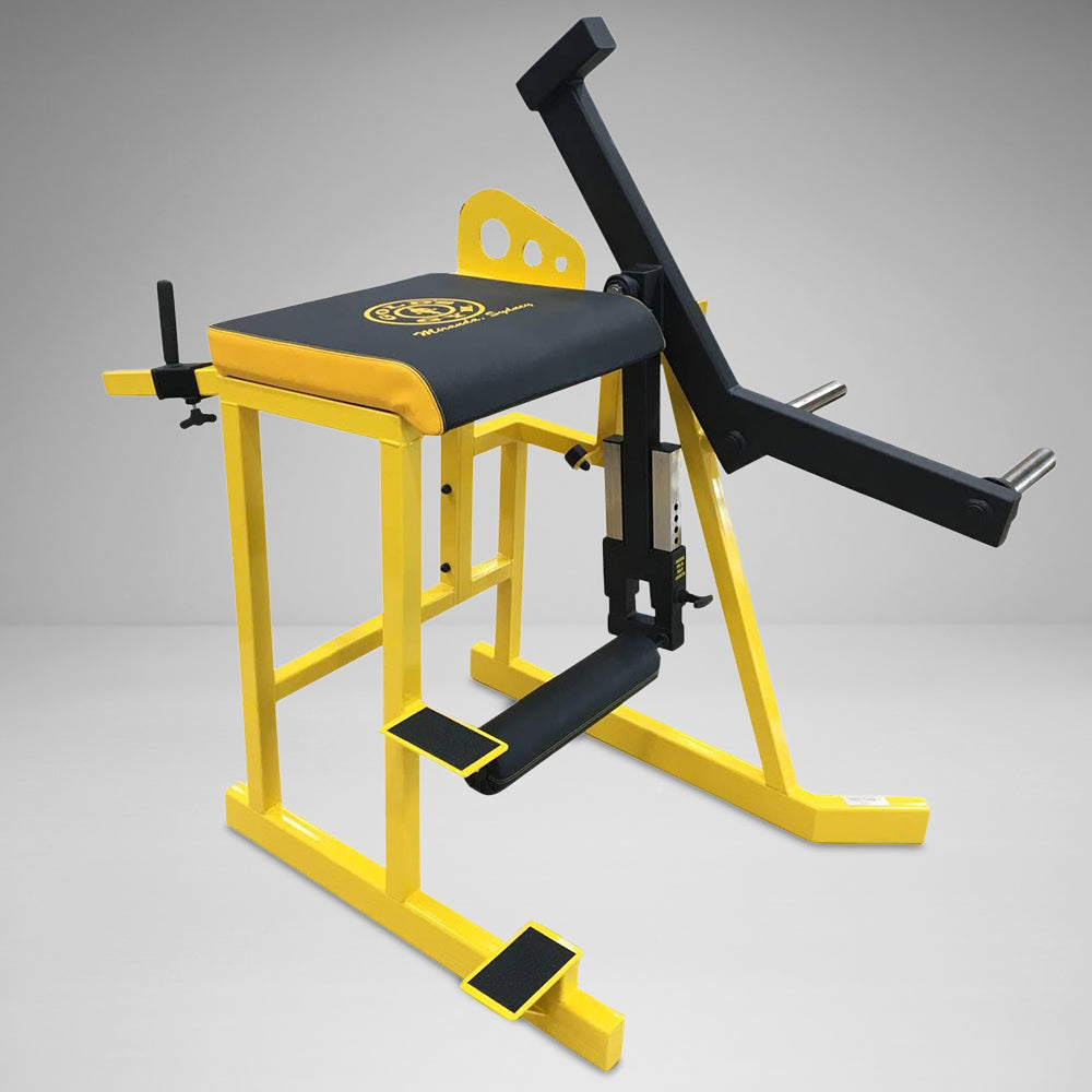 Deluxe Reverse Hyper Extension