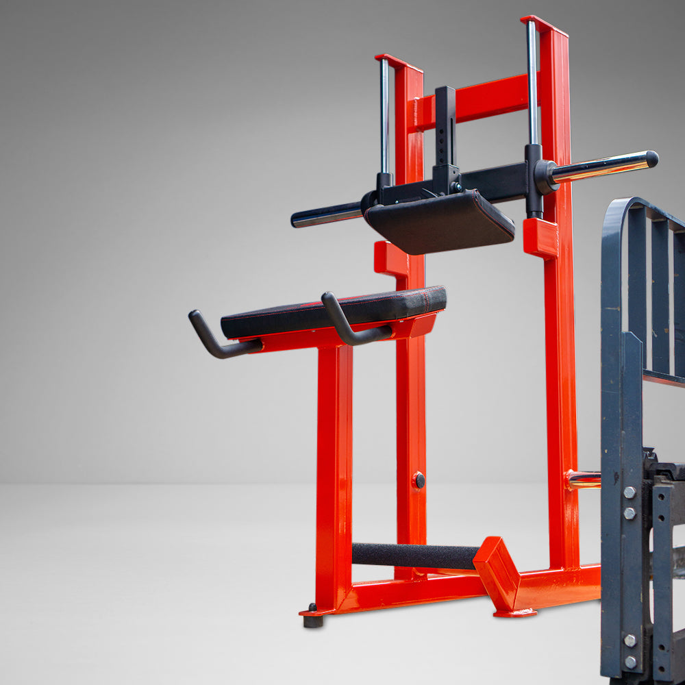 Plate Load Donkey Calf Raise