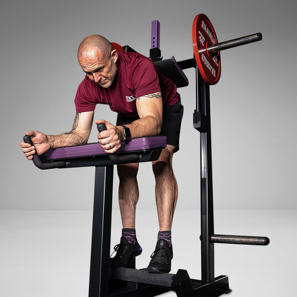Plate Load Donkey Calf Raise