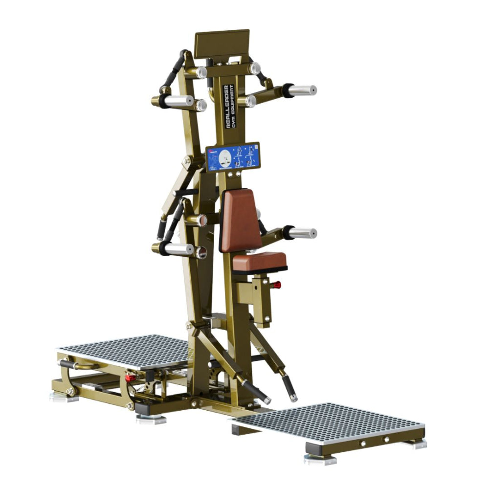 Real Leader Lateral Raise/Rear Deltoid