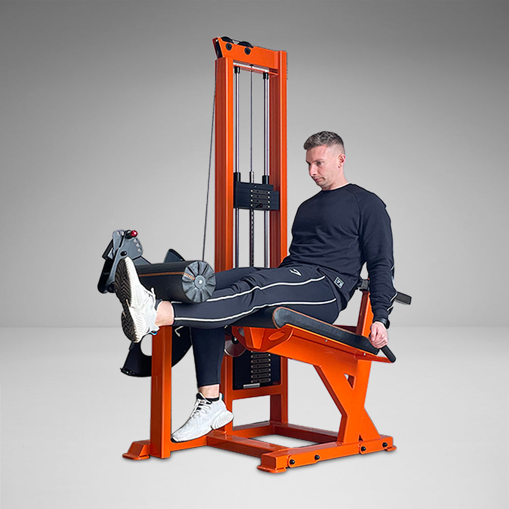 Single Stack Leg Extension