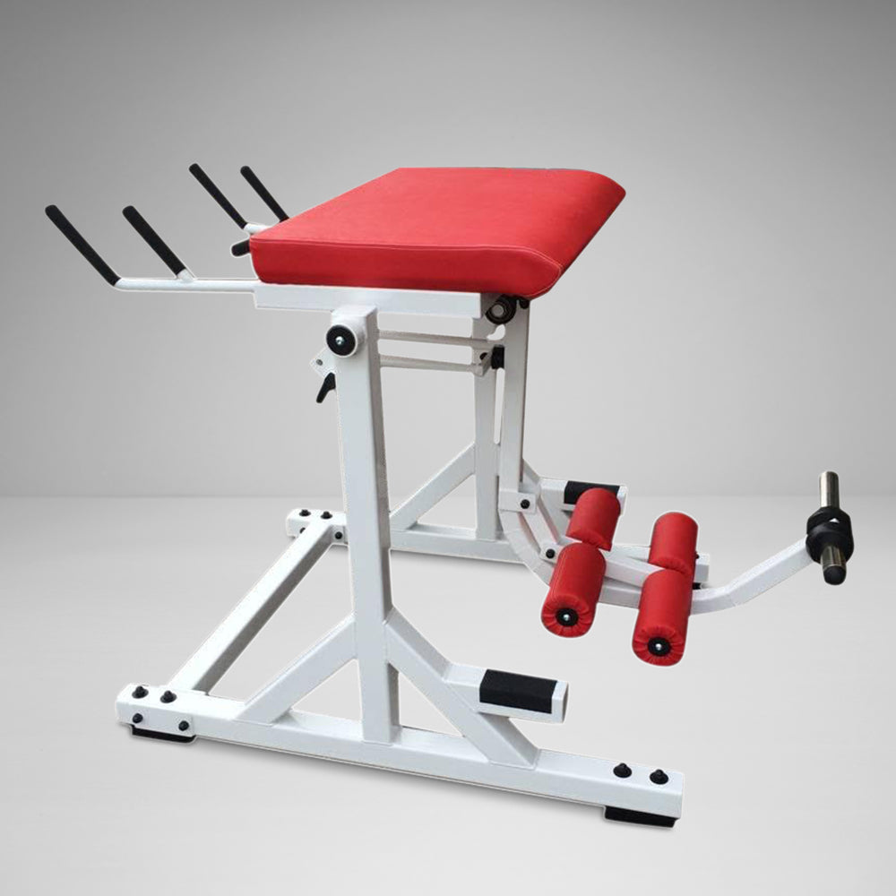 Westside Reverse Hyper with Bent Pendulum