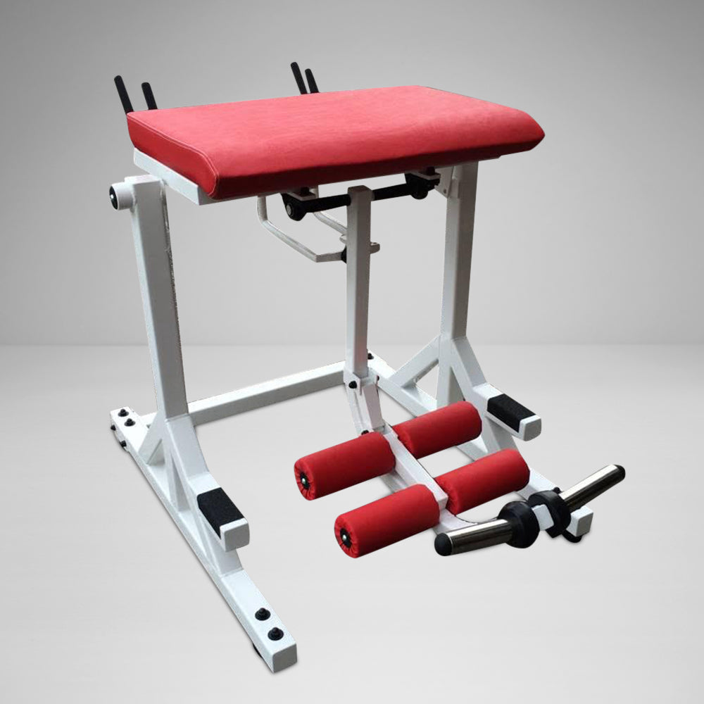 Westside Reverse Hyper with Bent Pendulum