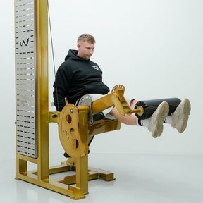 Watson Single Stack Leg Extension