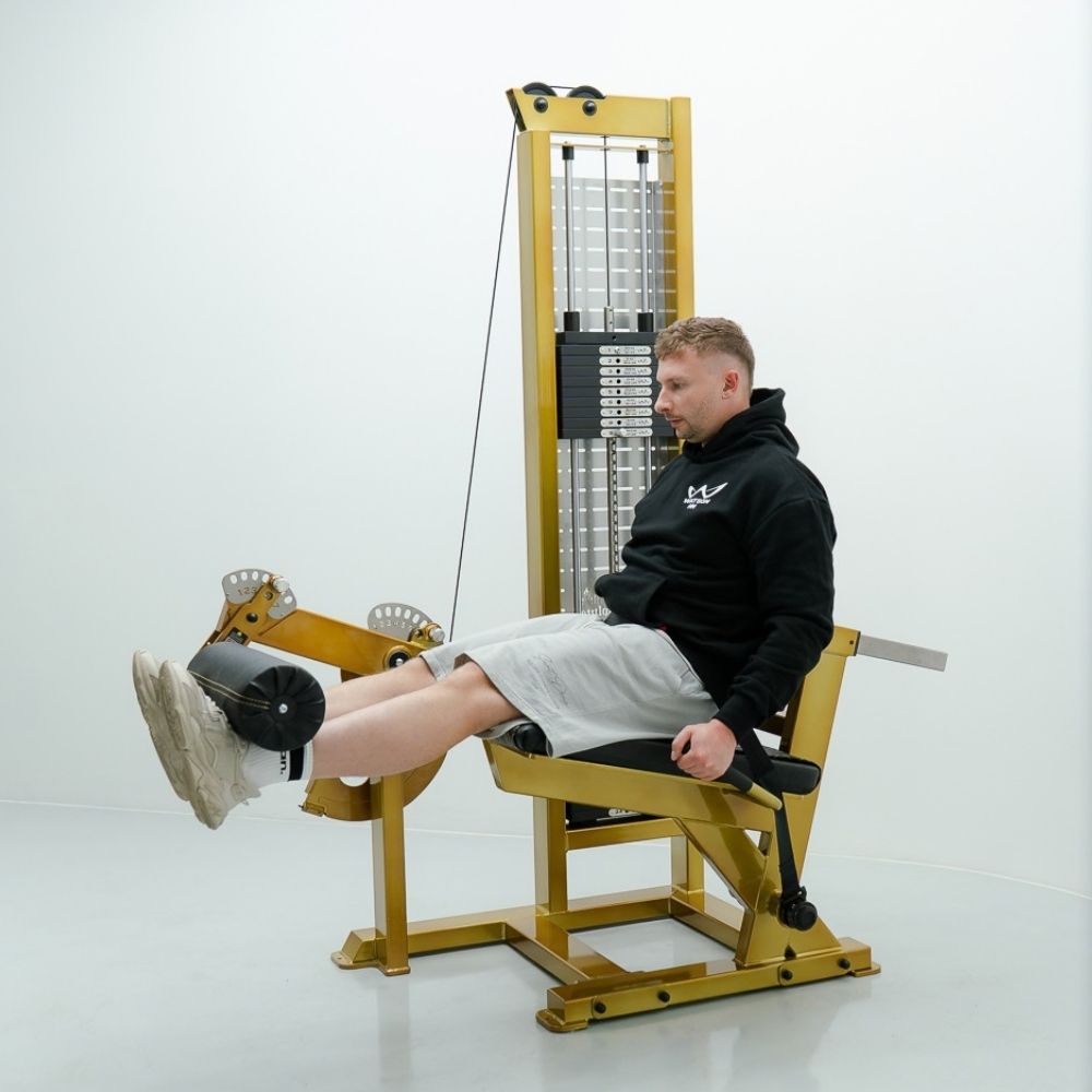 Watson Single Stack Leg Extension
