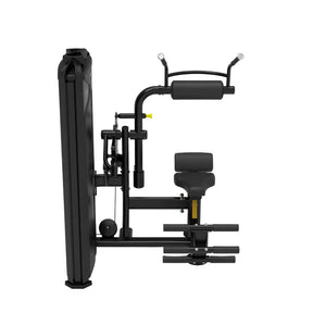 Impulse Commercial Abdominal/Back Extension Machine