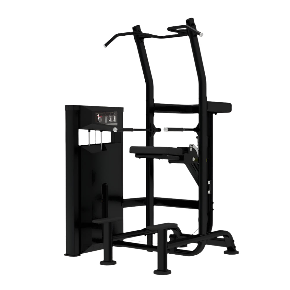 Impulse Dip/Chin Up Assisted Machine
