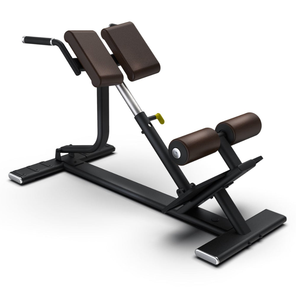 Intenza Back Extension Bench