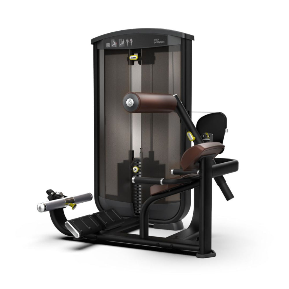 Intenza Selectorized  Back Extenssion Machine Ease Line