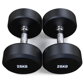 25kg Round Head Rubber Dumbbells Pair