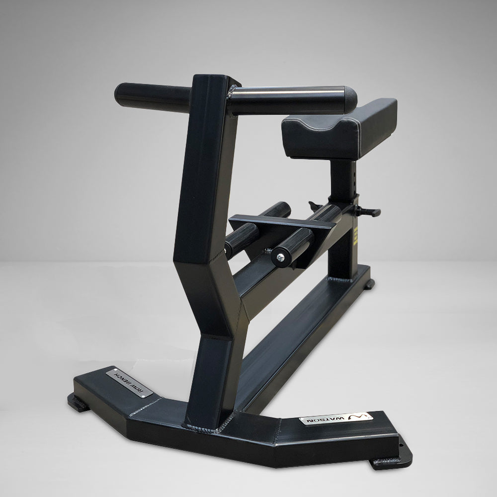 Watson Dumbbell Row Bench