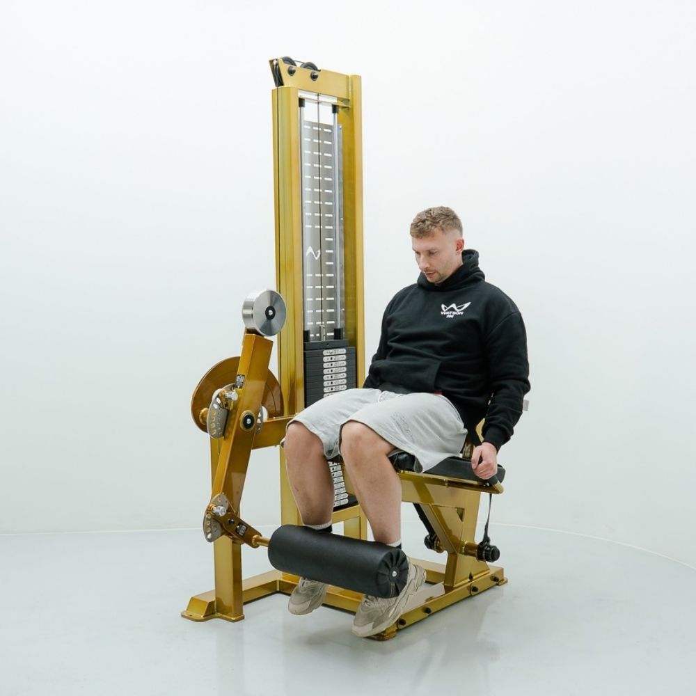 Watson Single Stack Leg Extension