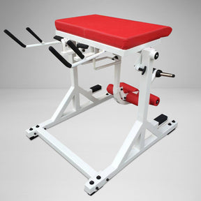 Westside Reverse Hyper with Bent Pendulum