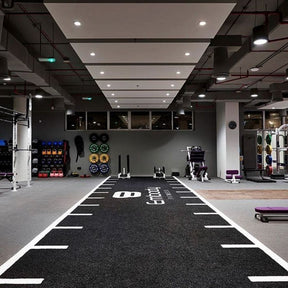 Custom Astro Turf 2m x 10m Sled Track For Gyms