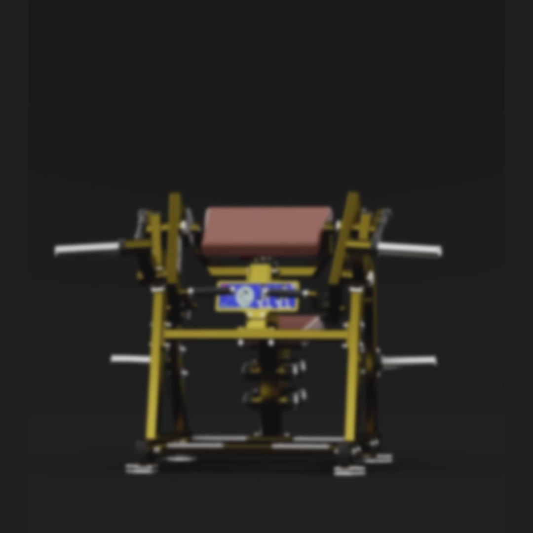 Real Leader Seated Biceps Curl