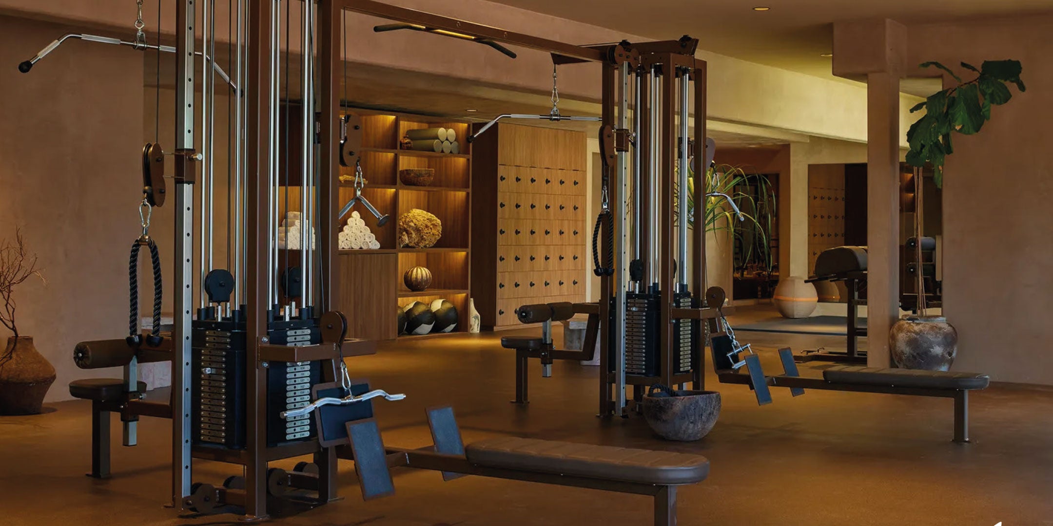 watson multi-gyms - dynamo fitness equipment